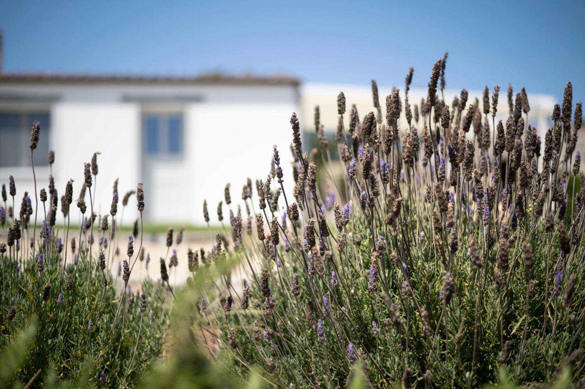 Casa Di Minnanni B&B Santa Teresa Gallura Exteriér fotografie